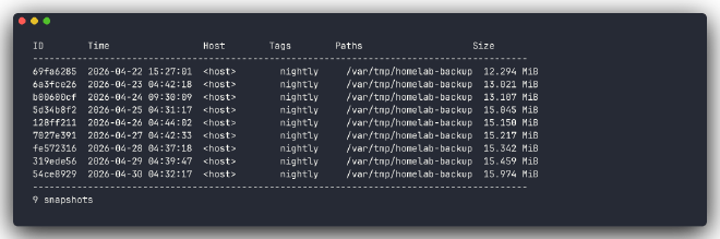 restic snapshots output showing nine nightly backups